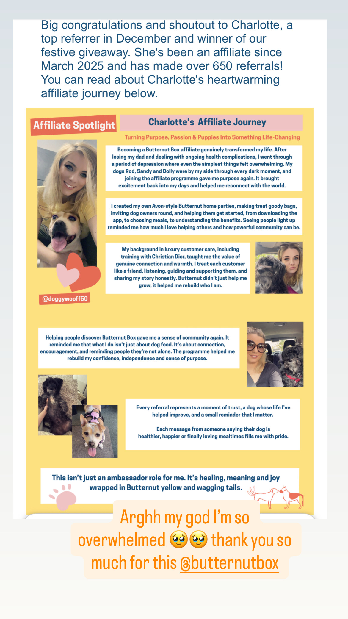 Affiliate Spotlight feature on Charlotte (@doggywooff50), a top Butternut Box ambassador with over 650 referrals.